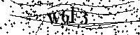 Por favor, escriba las letras y los números siguientes