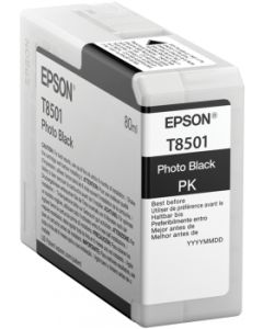 Cartucho EPSON T850100