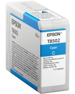 Cartucho EPSON T850200