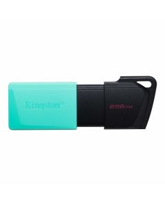 Memoria USB  Kingston Technology DATATRAVELER EXODIA M