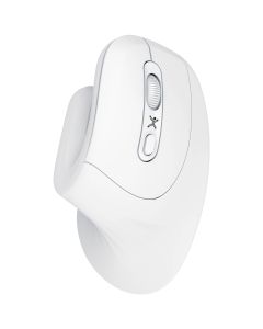 Mouse PERFECT CHOICE PC-045205